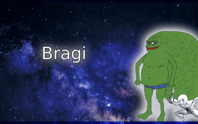 Protected: Bragi